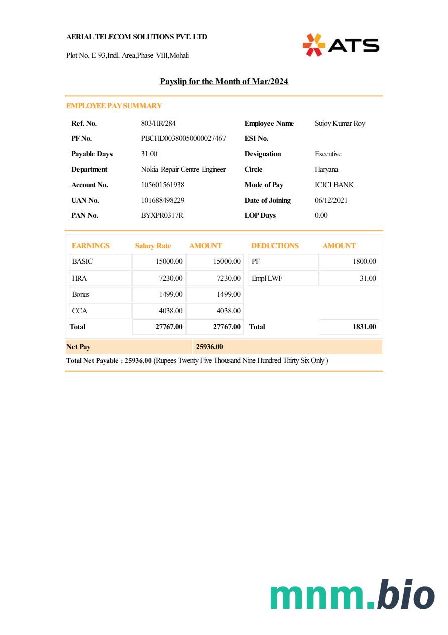 Szablon odcinka wypłaty Aerial Telecom Solutions w formatach Word i PDF